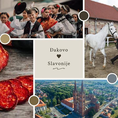 Sobe Dakovacki Vezovi Hotel Ðakovo Bagian luar foto